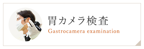 胃カメラ検査 Gastrocamera examination