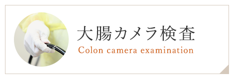 大腸カメラ検査 Colon camera examination