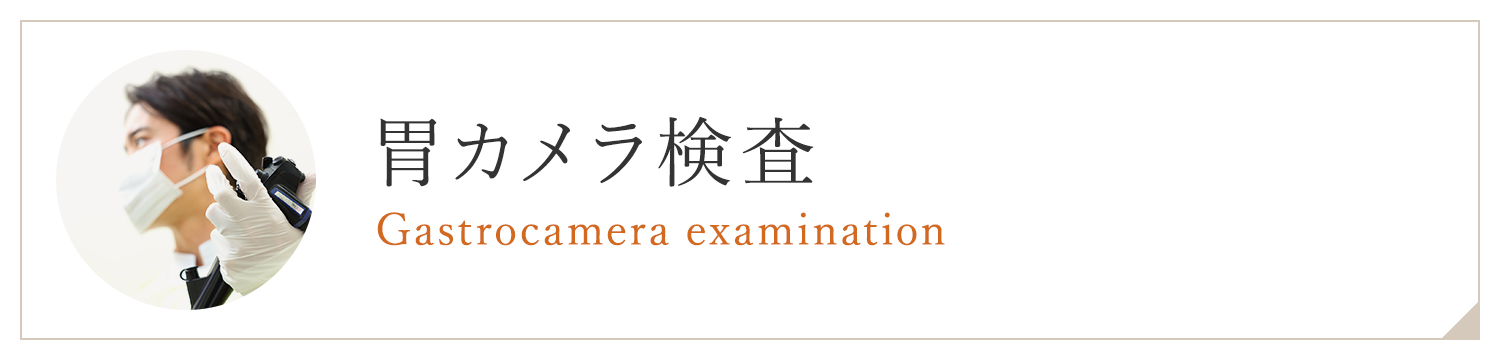 胃カメラ検査 Gastrocamera examination