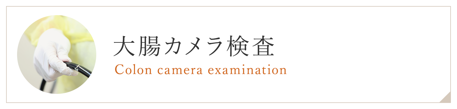 大腸カメラ検査 Colon camera examination